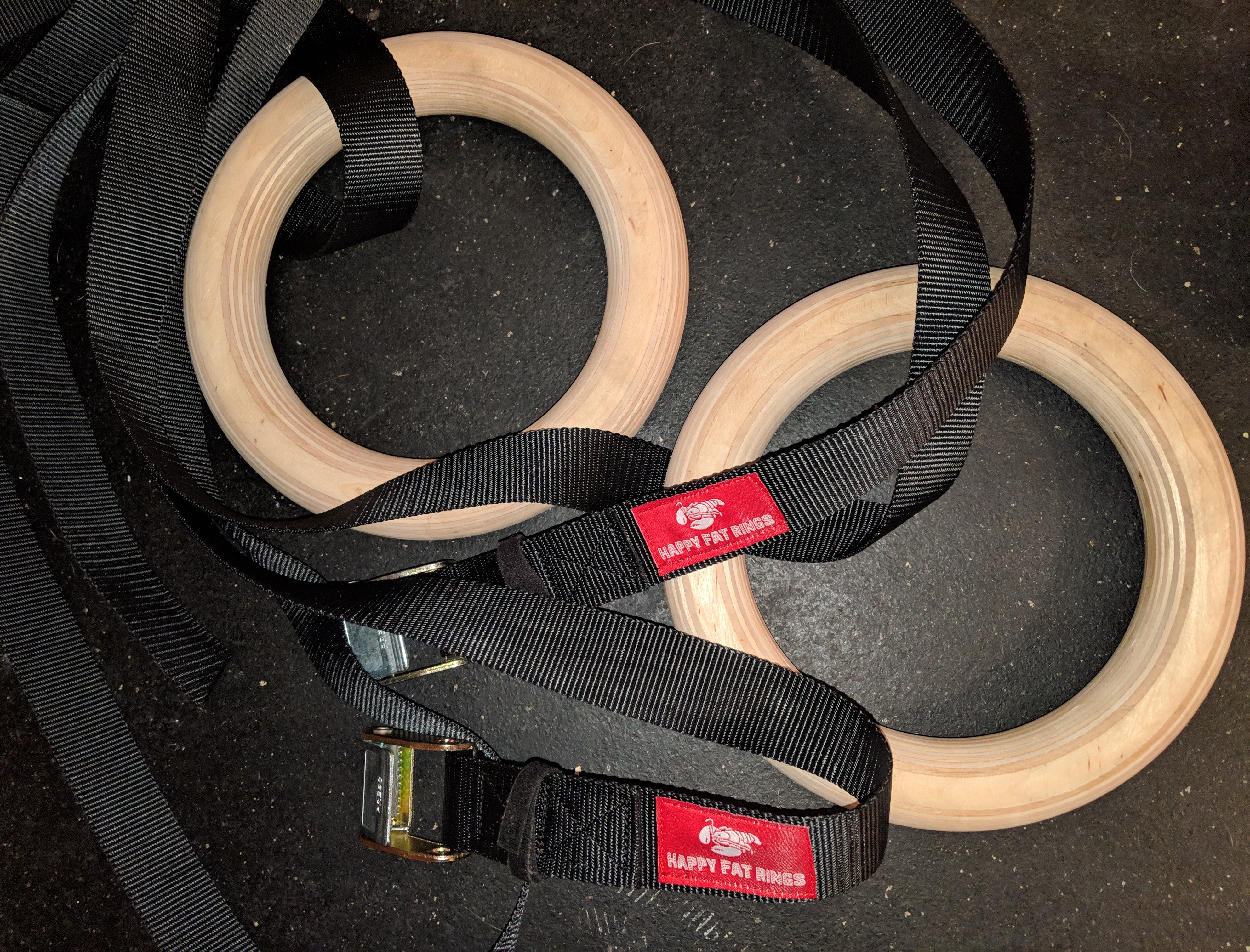 Fat Tony Rings The Fattest Rings on the Market – Garage Gym Experiment