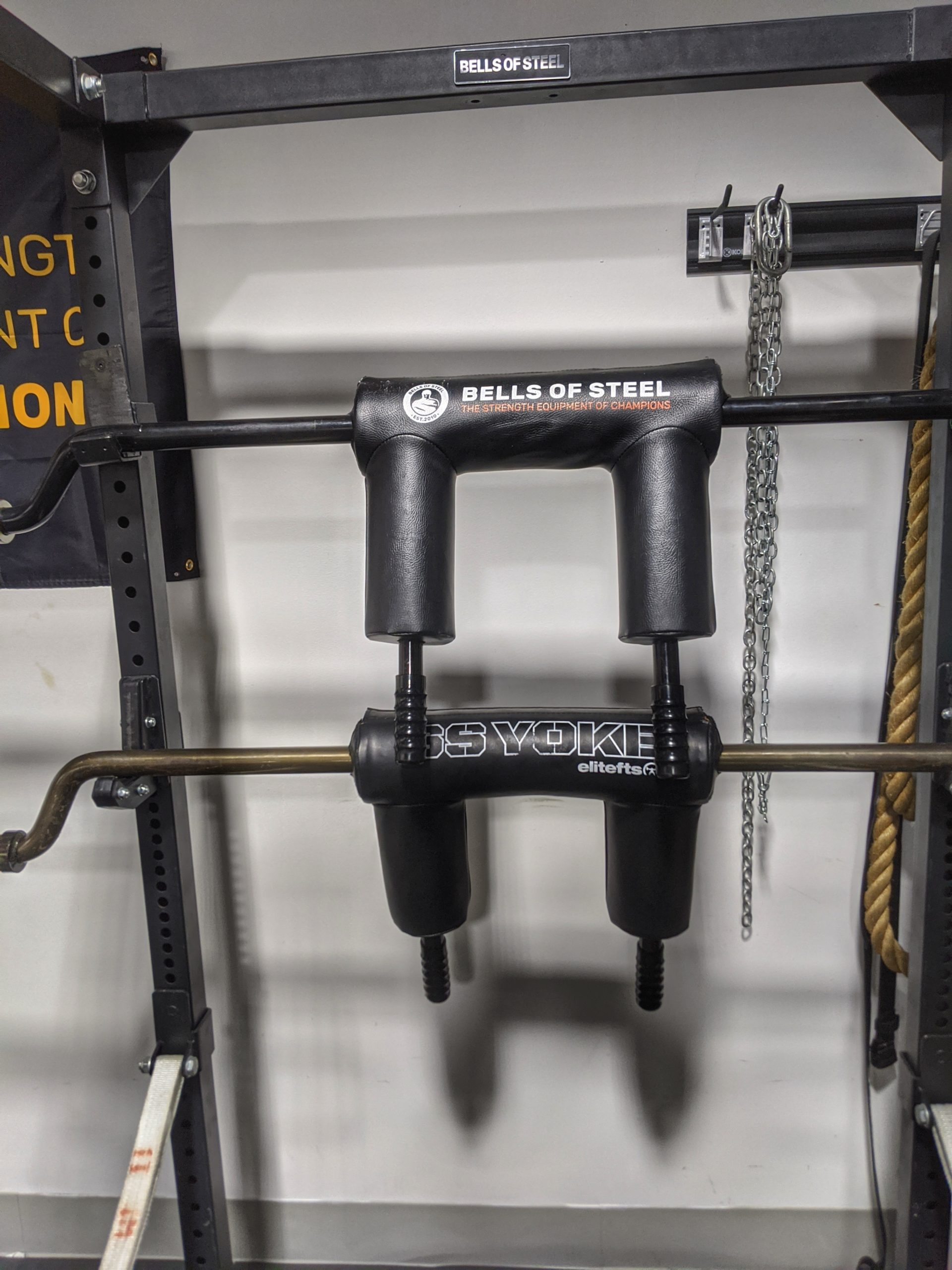 Elite fitness 2025 safety squat bar