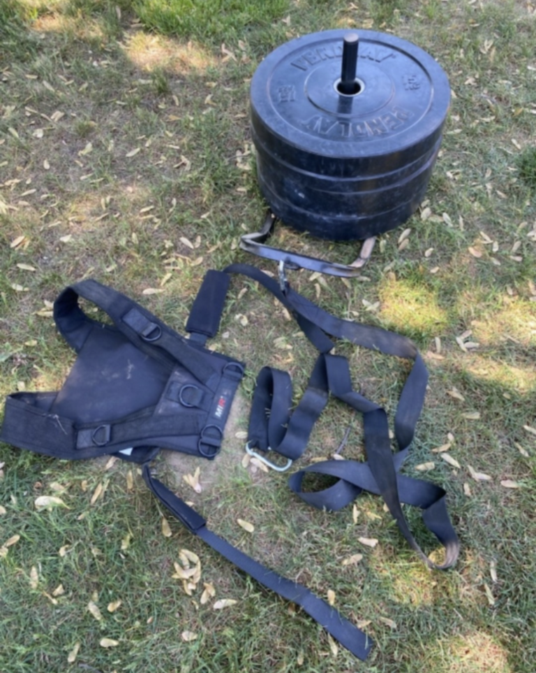 Budget Outdoor Gym with Additional Options
