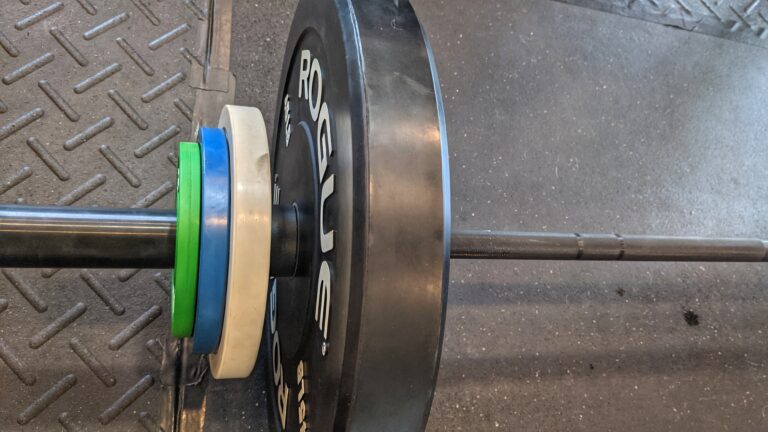Rogue Change Plates Review