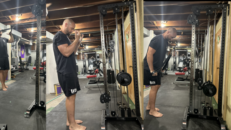 Selectorized or Plate Loaded Cable Tower for Home Gym? – Survey Deep Dive